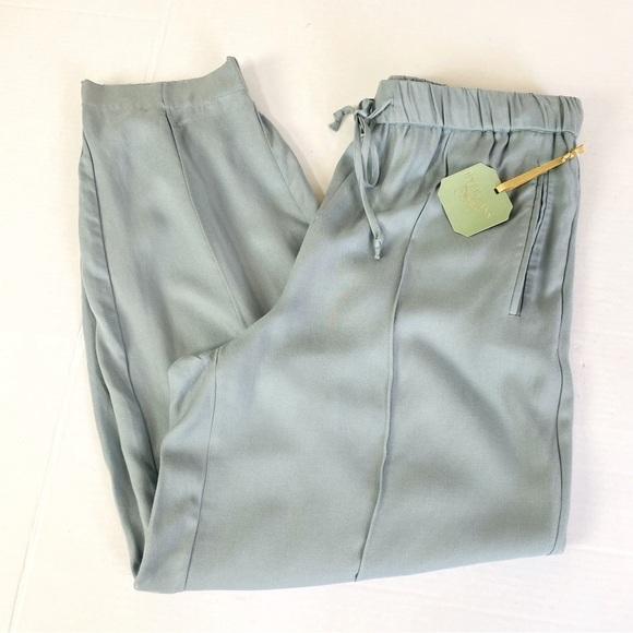 Raegrass Slate Luxe Jogger Pants Size M - Picture 7 of 13